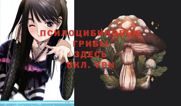гидропоника Арсеньев