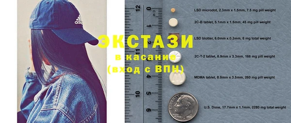 гидра Покачи