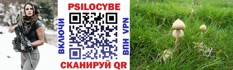 Псилоцибиновые грибы мухоморы  Большой Камень 
